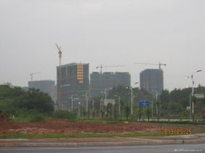 新玉林城市建设 长期跟踪实录与思考