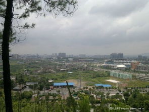 新玉林城市建设 长期跟踪更新